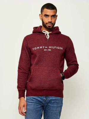 Tommy Hilfiger Bluza | Regular Fit