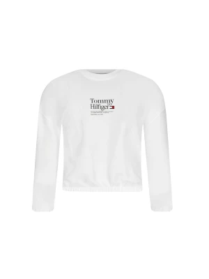 Tommy Hilfiger Bluza | Regular Fit