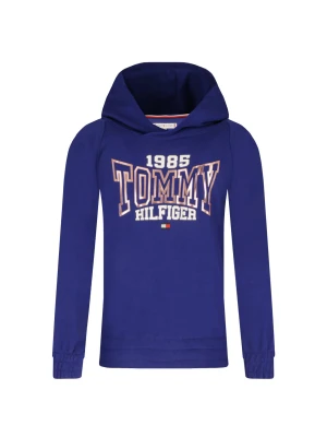 Tommy Hilfiger Bluza | Regular Fit