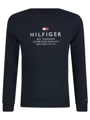 Tommy Hilfiger Longsleeve | Regular Fit