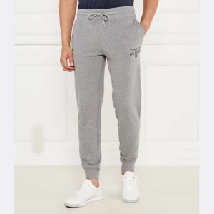 Tommy Hilfiger Spodnie dresowe | Regular Fit