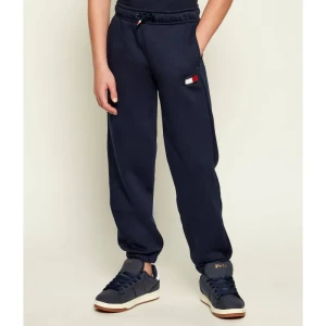 Tommy Hilfiger Spodnie dresowe | Regular Fit