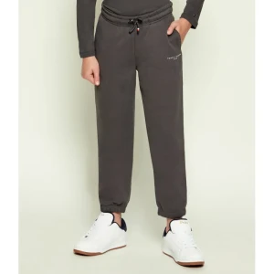 Tommy Hilfiger Spodnie dresowe | Regular Fit