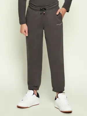 Tommy Hilfiger Spodnie dresowe | Regular Fit