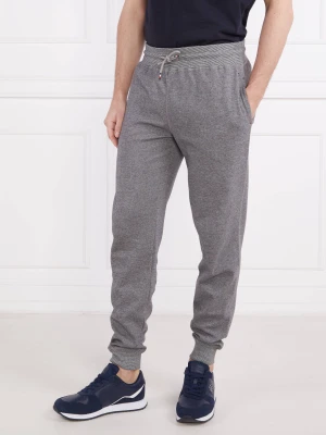 Tommy Hilfiger Spodnie dresowe | Regular Fit