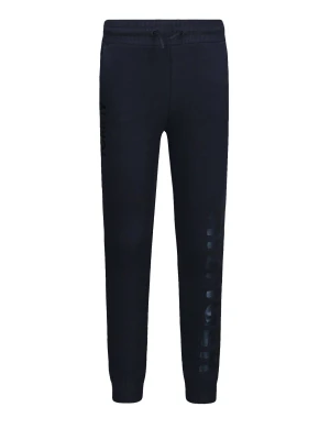 Tommy Hilfiger Spodnie dresowe | Regular Fit