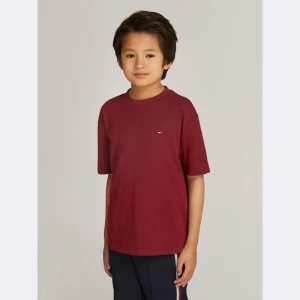 Tommy Hilfiger T-shirt | Regular Fit