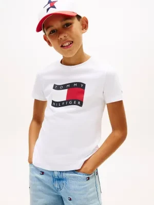 Tommy Hilfiger T-shirt | Regular Fit