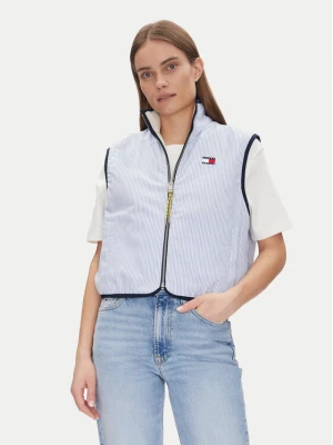 Tommy Jeans Bezrękawnik Tjw Reversible Teddy Vest DW0DW20233 Błękitny Regular Fit Niebieski jasny