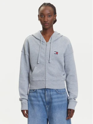 Tommy Jeans Bluza DW0DW21147 Szary Boxy Fit