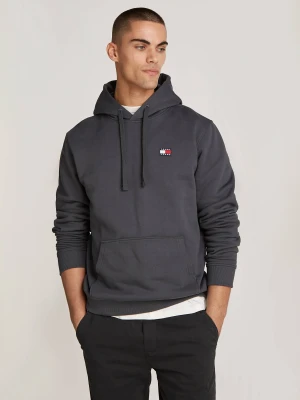 Tommy Jeans Bluza | Regular Fit szary
