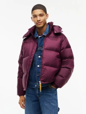 Tommy Jeans Kurtka puchowa dla kobiet Kobiety lila