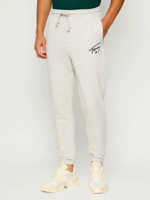 Tommy Jeans Spodnie dresowe | Slim Fit szary