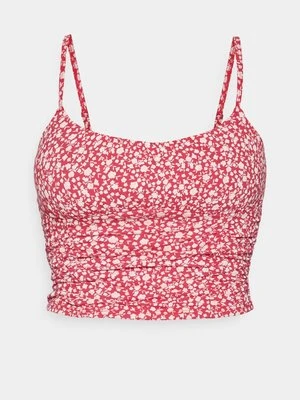 Top Hollister Co.