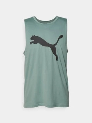 Top Puma