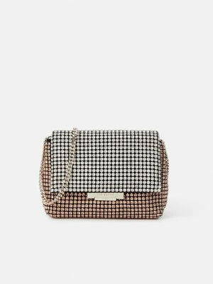 Torba na ramię Ted Baker