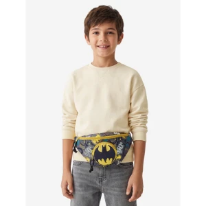 Torebka Batman CEO-ACCCS-SS26-228WBBAT Szary