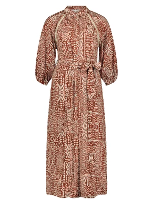 Tramontana Sukienka w kolorze jasnobrązowym rozmiar: 40