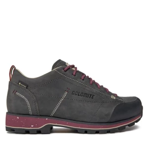 Trekkingi Dolomite W'S 54 Low Fg Evo Gtx GORE-TEX 292534 Szary