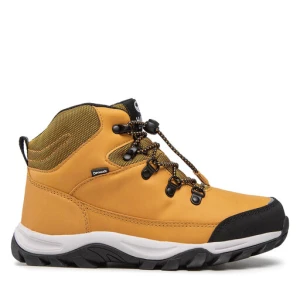 Trekkingi Halti Cody Mid 2 Dx Youth Shoe 054-2842 Brązowy