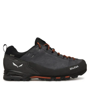Trekkingi Salewa Mountain Trainer GTX 00-0000061428 Szary