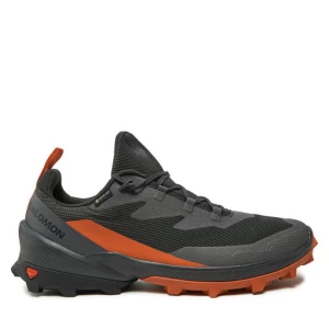 Trekkingi Salomon Cross Over 2 Gore-Tex L47265000 Szary