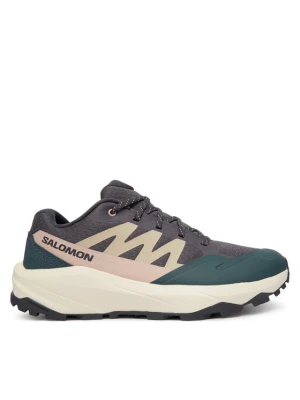 Trekkingi Salomon Outscape L49152400 Fioletowy