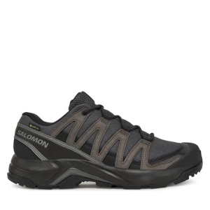 Trekkingi Salomon X-Adventure Recon Gore Tex L47809200 Szary
