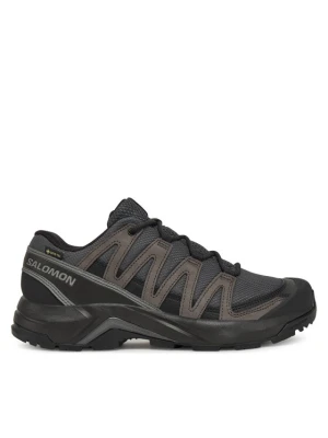 Trekkingi Salomon X-Adventure Recon Gore Tex L47809200 Szary
