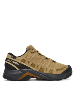 Trekkingi Salomon X-Adventure Recon Gore-Tex L47813100 Brązowy