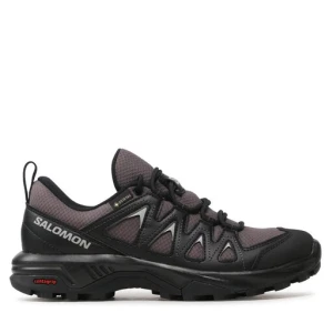 Trekkingi Salomon X Braze Gtx GORE-TEX L47180700 Szary