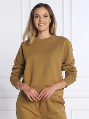 Trussardi Bluza | Regular Fit brązowy