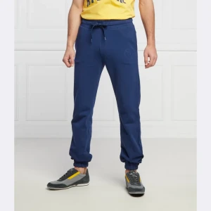 Trussardi Spodnie dresowe | Regular Fit