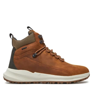 Trzewiki Geox U Pg1X B Abx U46E0C 0FF11 C6001 Brązowy