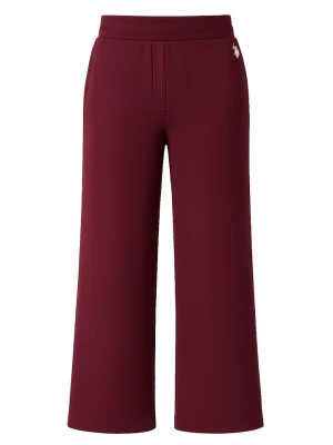 U.S. Polo Assn. Spodnie dresowe w kolorze fioletowym rozmiar: S