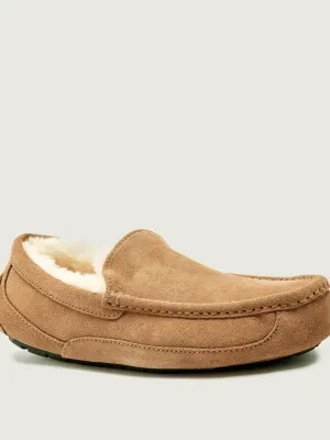 UGG Skórzane obuwie domowe M ASCOT | shearling