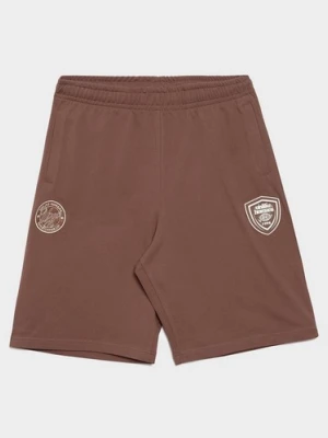 Zdjęcie produktu Unlike Humans Szorty Goal brązowy