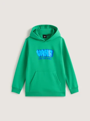 Vans - Dziecięca bluza z kapturem Vans Graff Pullover (8-14 lat)unisex, Zielony, Size: