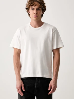 Vans T-shirt męski bawełniany PREMIUM beżowy