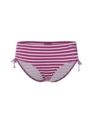 Venice Beach Damskie figi bikini Kobiety lila w paski,