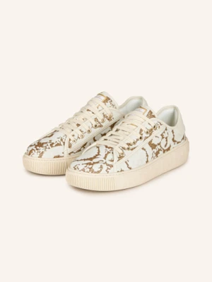 Versace Sneakersy beige