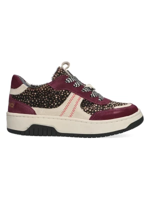 Vingino Sneakersy w kolorze fioletowo-brązowo-kremowym rozmiar: 35