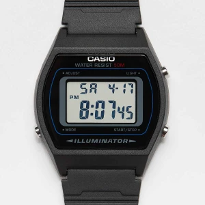 W-202-1AVEF Casio