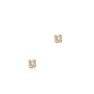 W.KRUK Kolczyki złote