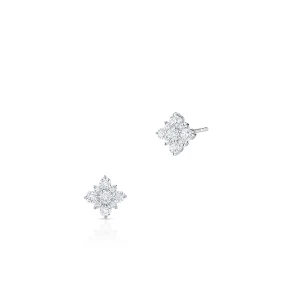 W.KRUK Kolczyki złote BIRKS