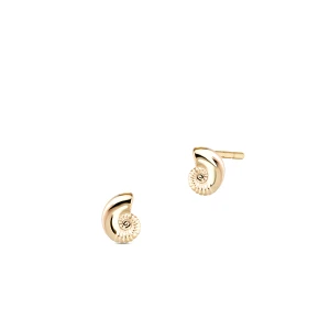 W.KRUK Kolczyki złote muszle Santorini