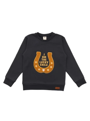 Walkiddy Bluza "Shire Horses" w kolorze czarnym rozmiar: 116