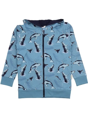 Walkiddy Bluza w kolorze błękitnym rozmiar: 128