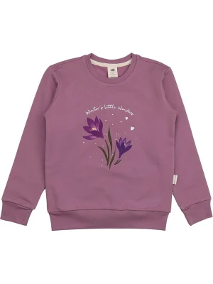 Walkiddy Bluza w kolorze fioletowym rozmiar: 122