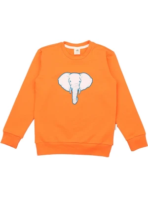 Walkiddy Bluza w kolorze pomarańczowym rozmiar: 110
